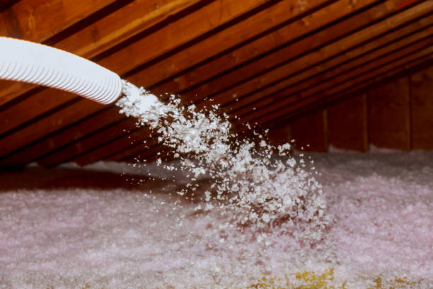 Best Insulation Removal  in Chelsea, OK